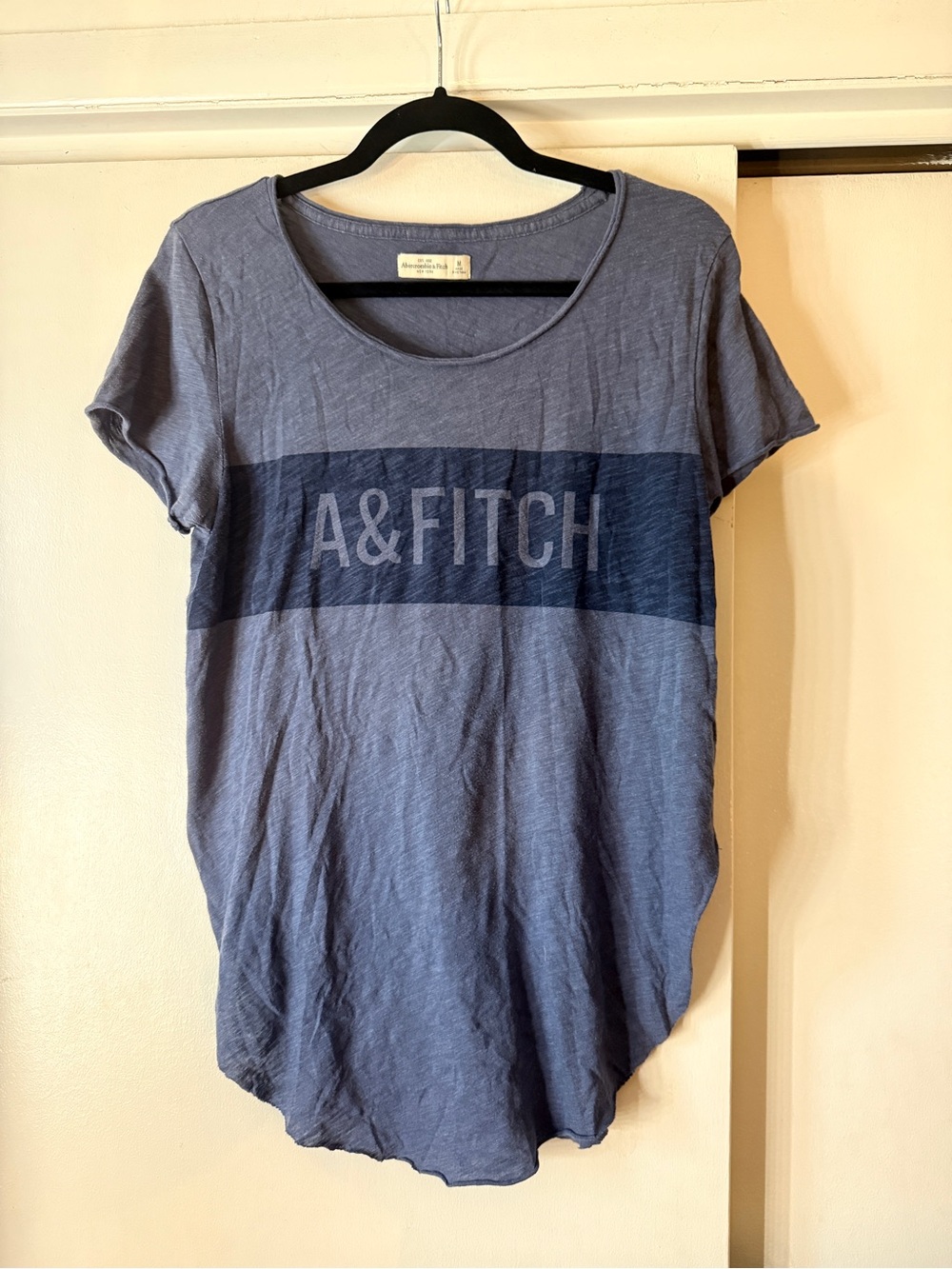 Abercrombie & Fitch Blue Graphic T-Shirt
